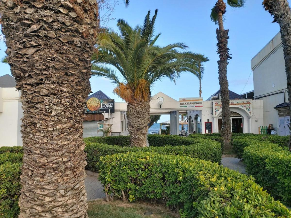 Villa Amalia 5 Τορεβιέχα Εξωτερικό φωτογραφία
