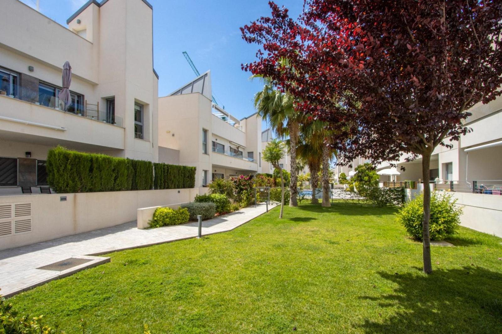 Villa Amalia 5 Τορεβιέχα Εξωτερικό φωτογραφία